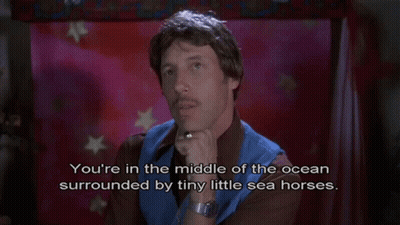 Man: You're In Ocean Surrounded By Little Sea Horses GIF