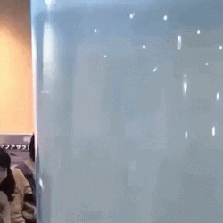 Manatee Floating Upward GIF