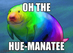 Manatee Rainbow Hue-Manatee GIF