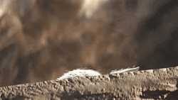 Mandalorian Baby Grogu Looking GIF