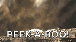Mandalorian Baby Yoda Grogu Peek A Boo GIF
