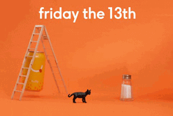 Mango Bubbly Sparkling Water Friday The 13Th Cat GIF