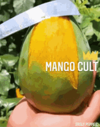 Mango Cult Peeling Ripe Sweet Healthy Fruit  GIF