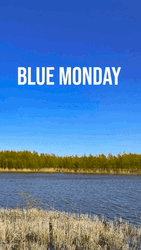 Manic Monday Came Out Of The Blue GIF