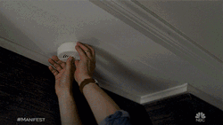 Manifest Looking For Something GIF