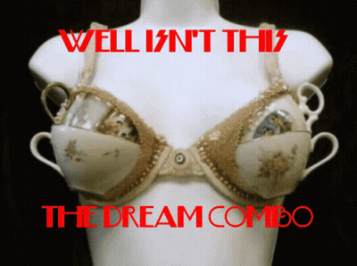 Mannequin Wearing Bra Made Of Tea Cups Well Isn't This The Dream Combo GIF