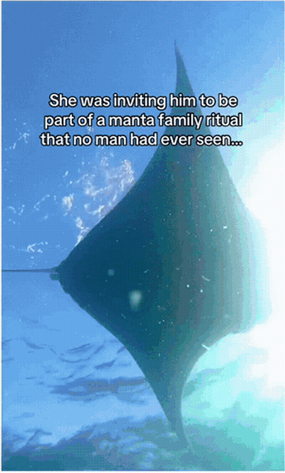 Manta Ray Saying She Was Inviting Him To Manta Family Ritual GIF
