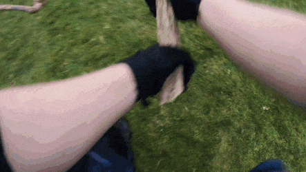 Manx Isle Of Man GIF