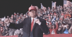 Many Men In The Crowd Dancing Donald Trump GIF