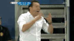 Marc Wilmots During Sweden Football