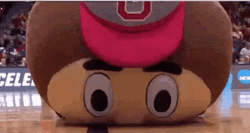 March Madness Mascot GIF