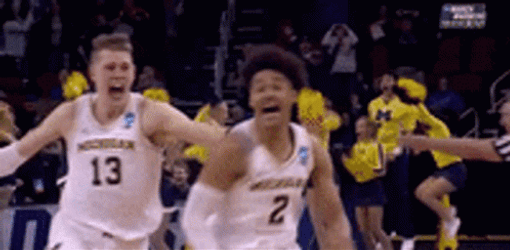 March Madness Team Michigan GIF