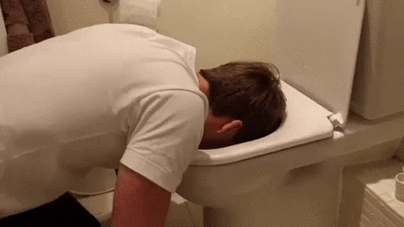Marcus Butler Head Inside Toilet Puking GIF