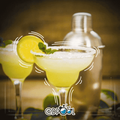 Margarita With Lemon Slice And Mint GIF
