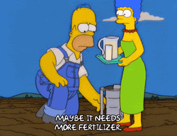 Marge Simpson And Homer Meme GIF