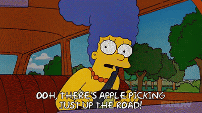 Marge Simpson In Car Saying Ooh There's Apple Picking Just Up The Road GIF