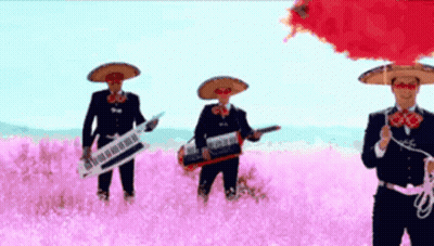 Mariachi Players Playing Instruments In Pink Flower Field GIF