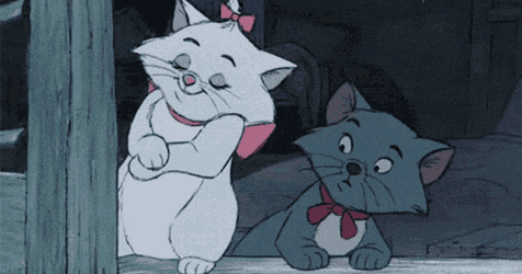 Marie Cat GIF