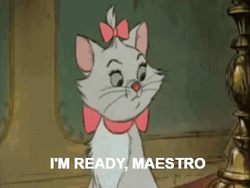 Marie Im Ready Maestro GIF