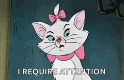 Marie Sassy Cat Requires Attention GIF