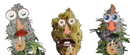 Marijuana Plants With Faces Sticker