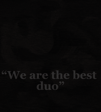 Mario And Luigi We Are The Best Duo GIF