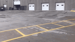 Mario Kart Puppy Cart GIF