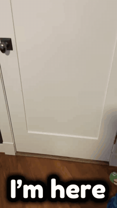 Mario Puppet Behind Glass Door Saying I'm Here GIF