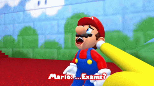 Mario Saying Mario Exams