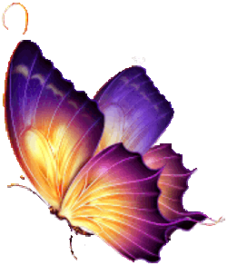 Mariposa Sticker GIF
