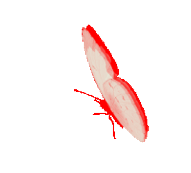 Mariposa Sticker GIF