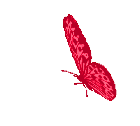 Mariposa Sticker GIF