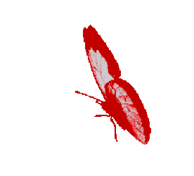 Mariposa Sticker GIF