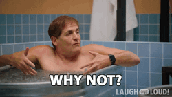 Mark Cuban Why Not GIF