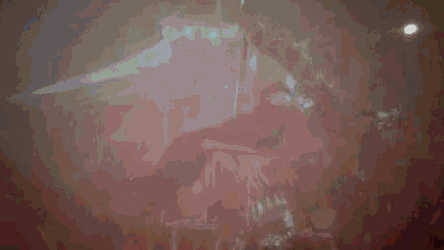 Mark Owen Wonderland GIF
