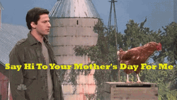 Mark Wahlberg Say Hi To Your Mother For Me GIF