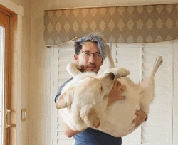 Markiplier Carrying His Dog GIF