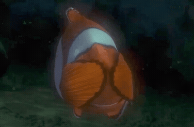 Marlin Clownfish GIF
