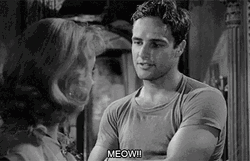 Marlon Brando And Vivien Leigh Movie GIF