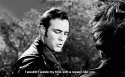Marlon Brando Movie Quote GIF