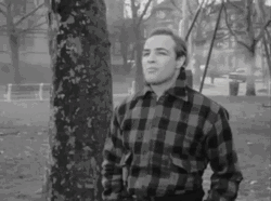 Marlon Brando On The Waterfront Movie GIF