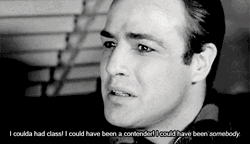 Marlon Brando On The Waterfront Movie Quote GIF