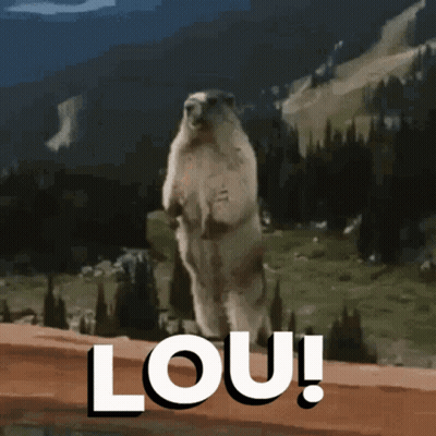 Marmot Standing In Front Of Lou Sign GIF