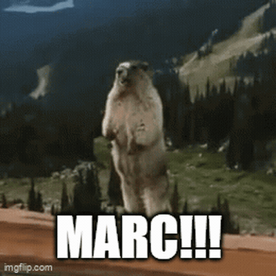 Marmot Standing In Front Of Mountain Saying Marc GIF
