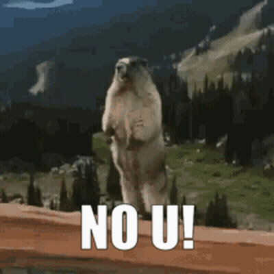 Marmot Standing On Hind Legs No U GIF
