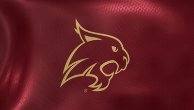 Maroon Background With Gold Cat Logo GIF
