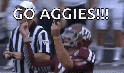 Maroon Flag With White ATM Logo GIF