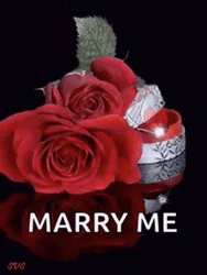 Marry Me Cutie GIF