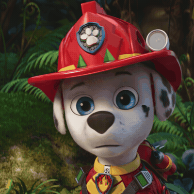 Marshall From Paw Patrol In Red Helmet With Paw Print GIF