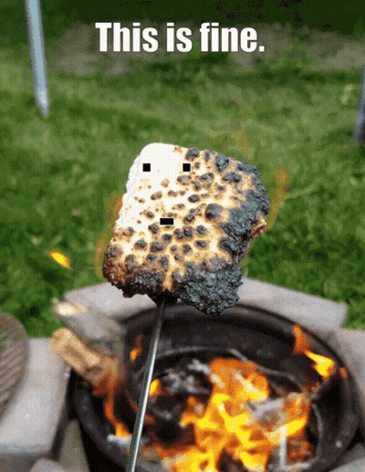 Marshmallow Cooking Over Fire This Is Fine GIF